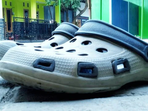 Frog slippers Stock Photos