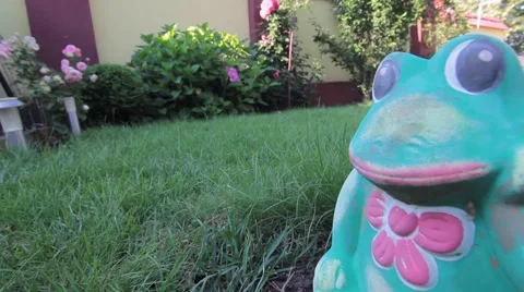 Frog statue in the garden Stock Footage 55086620