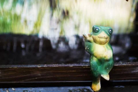 Frog on stone Stock Photos