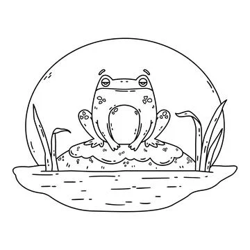 A frog in a swamp. Toad sits on a rock. Cute flat hand drawn character. Stock Illustration