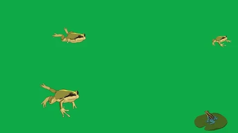 Frog Toad Jump Amphibian 2d animated cartoon character on green screen High Stock Footage 334703607