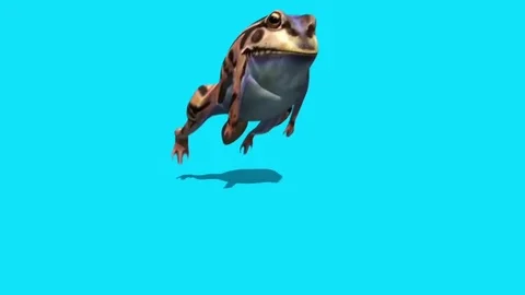 Frog Toad Jumpcycle Front Blue Screen 3D Rendering Animation Stock Footage