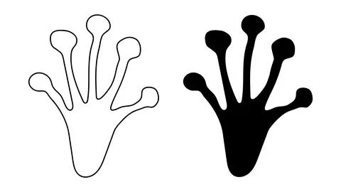Frog, toad or lizard paw footprint. Silhouette, contour. Black vector isola.. Stock Illustration