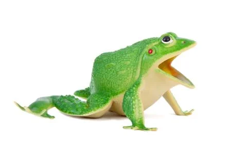 Frog toy on a white background Stock Photos