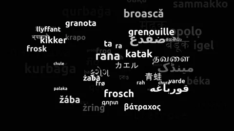 Frog Translated in 68 Worldwide Languages Endless Looping 3d Zooming Wordclou Stockbeeldmateriaal 145218090