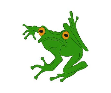 Frog vector illustration, color drawing, vector Illustrazione stock