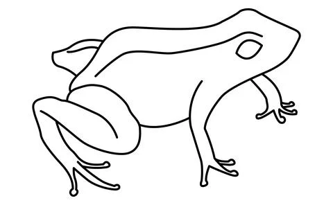 Frog vector illustration isolated on white background Stock Illustration