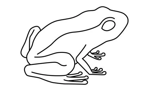 Frog vector illustration isolated on white background Stock Illustration