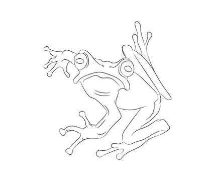 Frog vector illustration, line drawing, vector Illustrazione stock