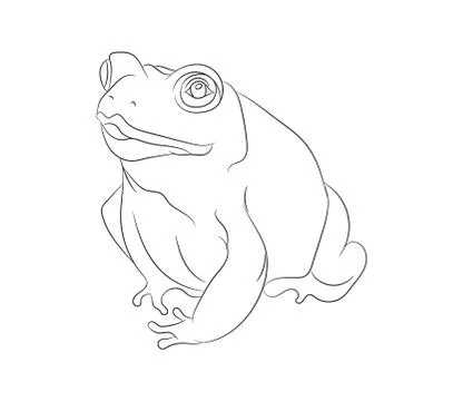 Frog vector illustration, line drawing, vector Illustrazione stock