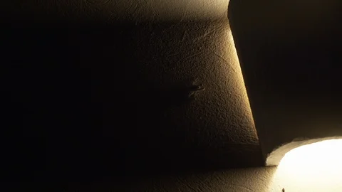 Frog on wall near light Stock Footage 113362517