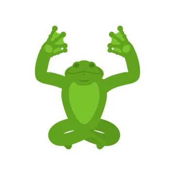 Frog yoga. Toad yogi isolated. anuran Relaxation and meditation. Vector illus Stockillustratie