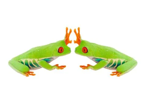 Froggie high five Stock Photos