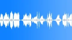 FROGS ambience 1, swampSound Effect