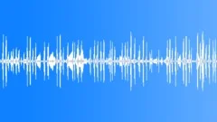 FROGS ambience 2, swampSound Effect
