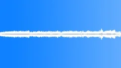 Frogs and crickets loopSound Effect