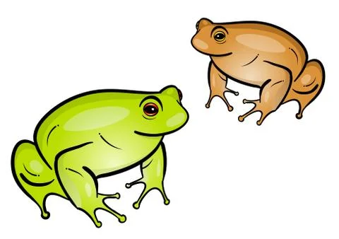 Frogs Stock Illustration