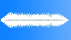 Frogs Ocean Waves Night AmbienceSound Effect