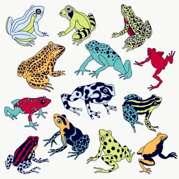 Frogs set Stock Illustration