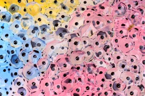 Frogspawn Stock Photos