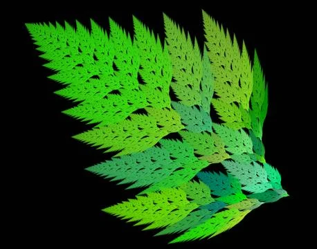 Frond Stock Illustration