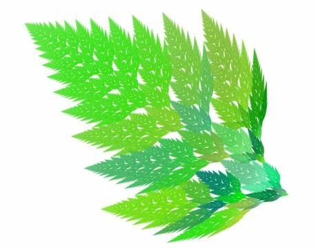 Frond Stock Illustration