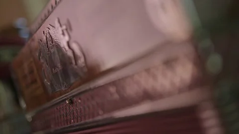 Front accordion closeup with reflections Stock Footage 89343428