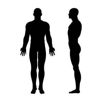 Front and side view of human silhouette. Vector. Stock Illustration