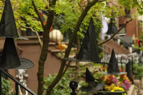Front of apartment building decorated with spider web for Halloween holiday in Stock Photos