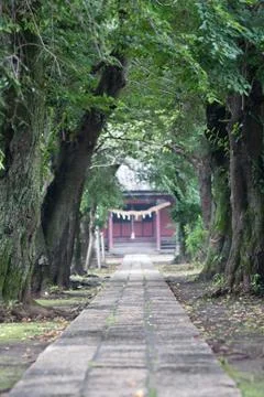 The front approach to shirine Stock Photos