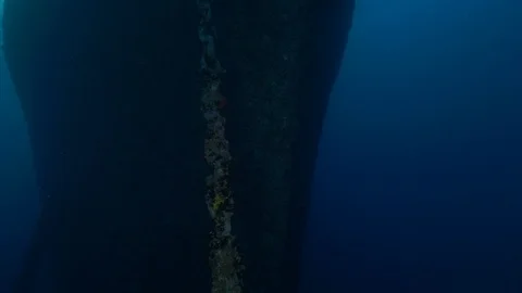 Front bow detail with anchor chain of the shipwreck Thistleghorm, Red Sea, Egypt Stock Footage 105506353