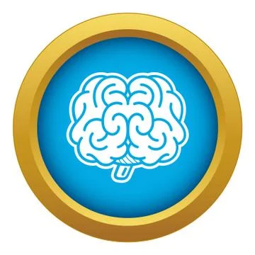 Front brain icon blue vector isolated Stock Illustration