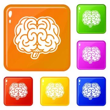 Front brain icons set vector color Stock Illustration