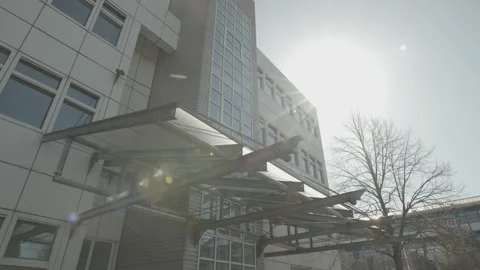 Front of a building wiht windows and tree Stock-Footage 237520493