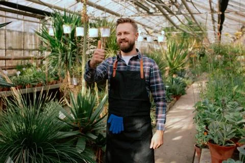 In front of the camera attractive gardener posing and showing a thumb up while Stock Photos