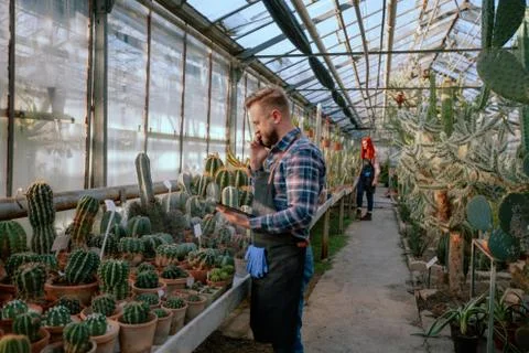 In front of the camera gardener man using a tablet to check the condition of Stock Photos