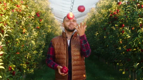 In front of the camera in the large apple orchard pretty farmer young man take Stock Footage 166571711