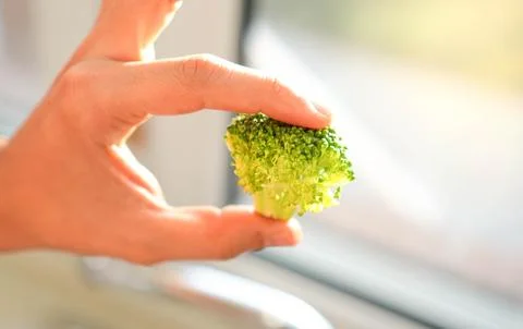 Front Close up view of isolated broccoli held by white hand in the kitchen sun r 스톡 사진