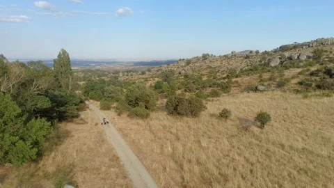Front drone view of dog owner walking his dogs in summer. Video stock 113821277