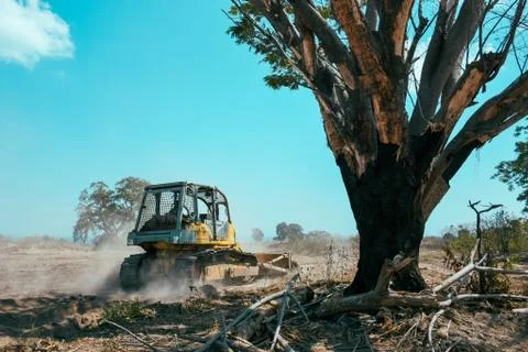 A front end bucket loader pushing up a smoldering pile of tree limbs 스톡 사진