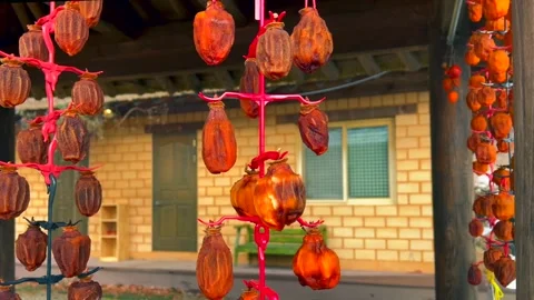Front facade of a rustic brick house in the countryside. Dried persimmons Stock Footage 325951807