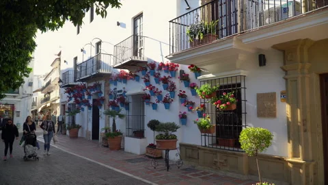 Front facade of Town hall of Marbella docorated with flowers Stock Footage 254112007