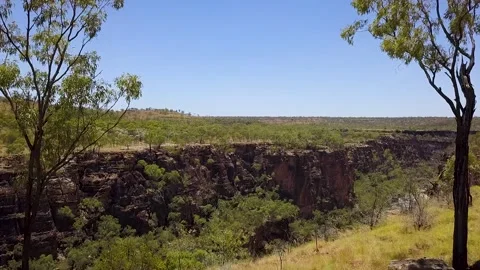 Front facing Gorg in the Outback Stock Footage