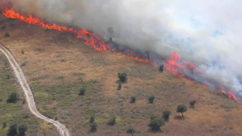 A front of fire advancing in strong wind on a hill 스톡 동영상 133544773