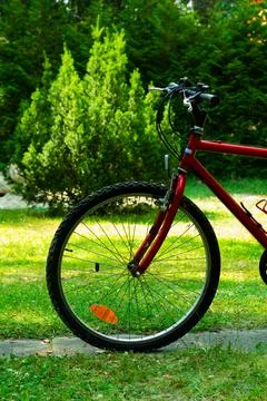 Front half part of red mountain bicycle with green grass background Stock Photos