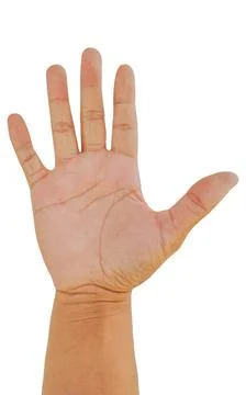 Front hand open and ready to help or receive.. Stock Photos