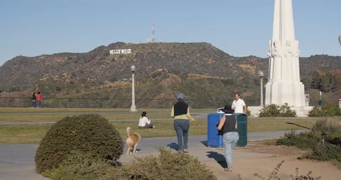 Front lawn of the griffith observatory and hollywood sign Stock Footage 87365494