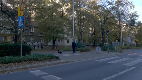 FRONT LEFT - Driver side driving plate - Wroclaw, Poland. polandwroclaw0002 Stock Footage 163800711