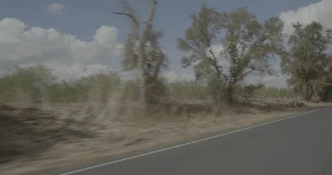Front left driving plate - Elliot Road at Liberty Road, Dogtown Vídeo Stock 293492999