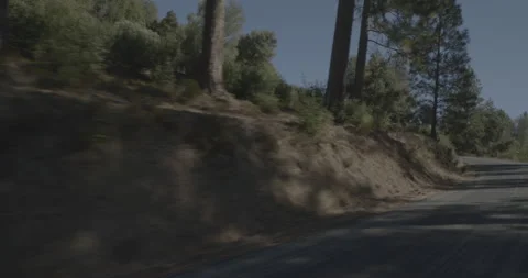 Front left driving plate - Ferreti Road at Mile 1, Greeley Hill Vídeo Stock 295118057